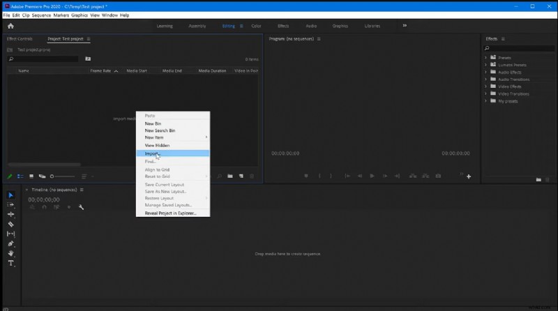 Import Image Sequences into Premiere Pro 2024: A Complete Guide