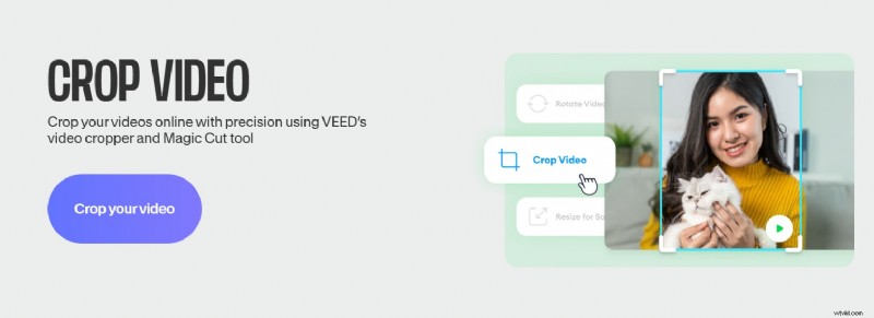 Crop Videos on Windows: 5 Simple Methods for Perfect Aspect Ratios
