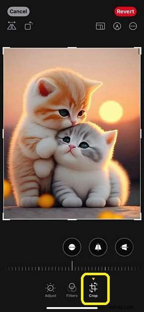 iPhone Image Cropping: A Complete Guide to Perfect Photos