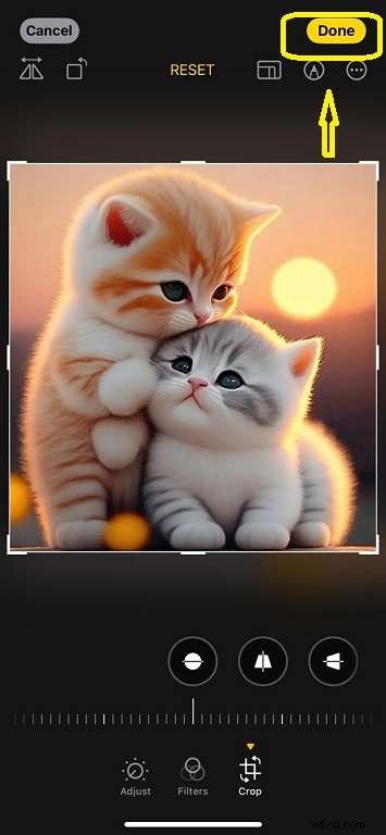 iPhone Image Cropping: A Complete Guide to Perfect Photos