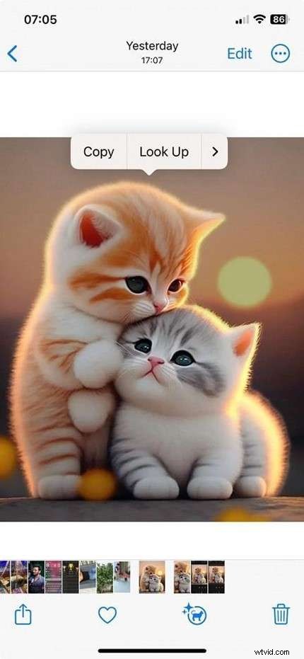 iPhone Image Cropping: A Complete Guide to Perfect Photos