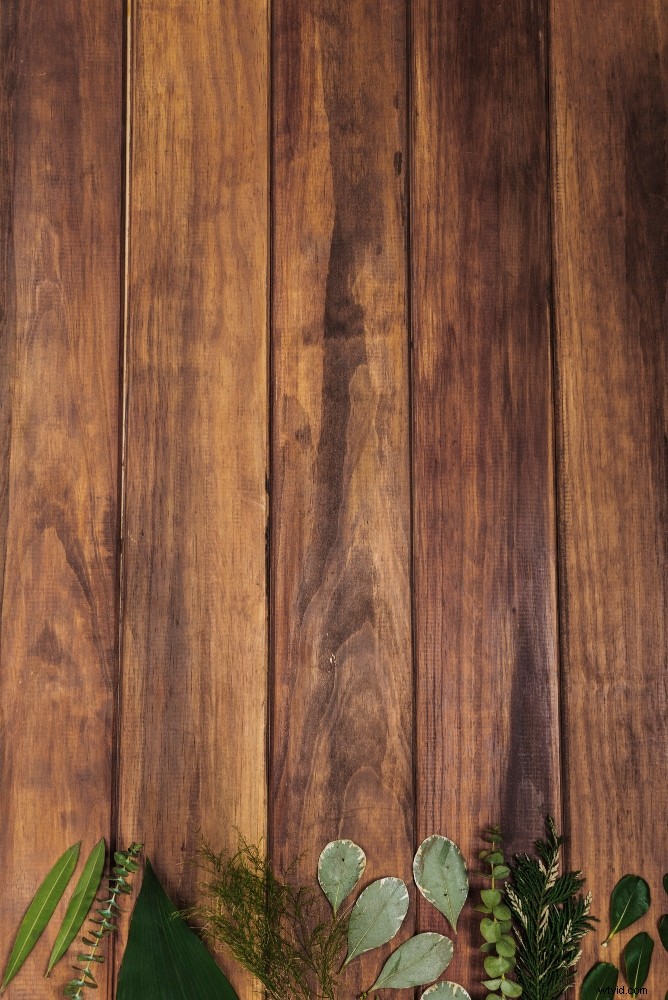 Green Screen Photography: Creative Ideas for Professional Product Photos