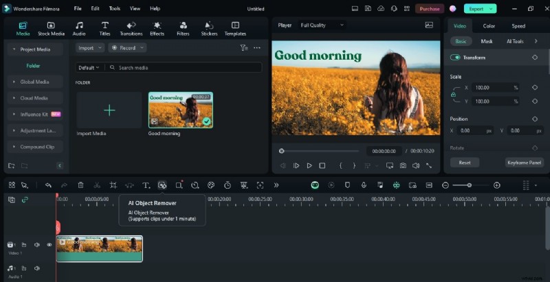 Remove Video Captions: Enhance Visual Appeal & Clarity | [Your Brand/Website]