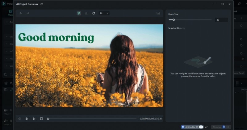 Remove Video Captions: Enhance Visual Appeal & Clarity | [Your Brand/Website]