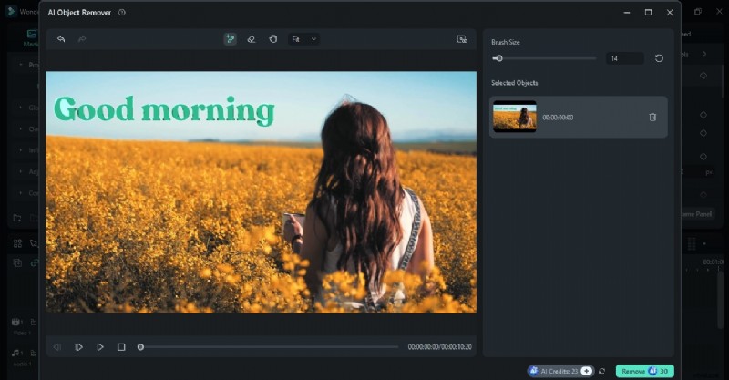 Remove Video Captions: Enhance Visual Appeal & Clarity | [Your Brand/Website]