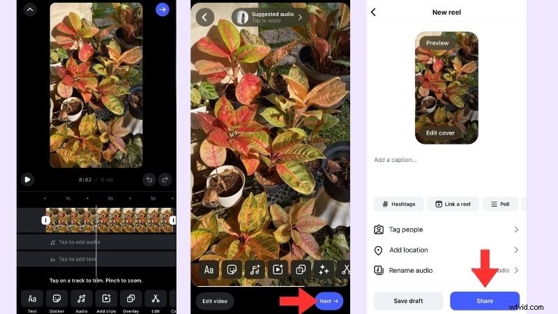 Create Seamless Video Loops: The Complete Guide for 2026