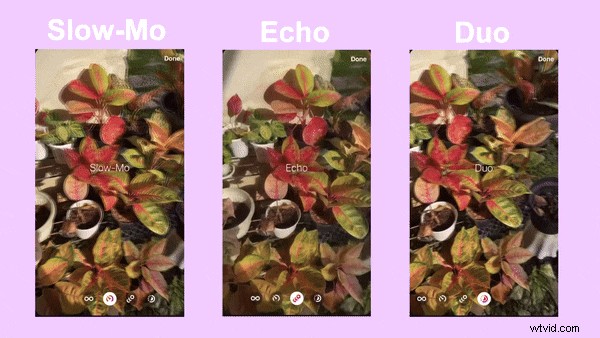 Create Seamless Video Loops: The Complete Guide for 2026
