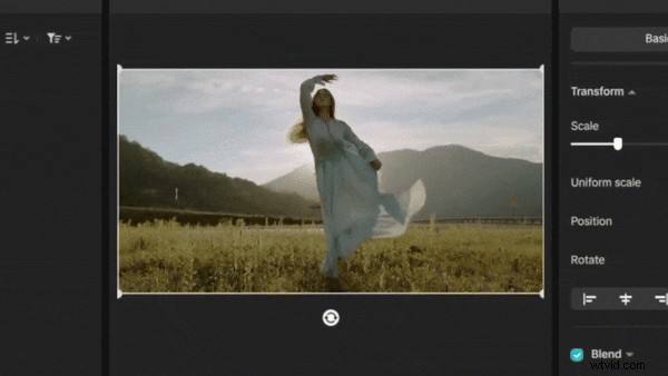 Create Seamless Video Loops: The Complete Guide for 2026