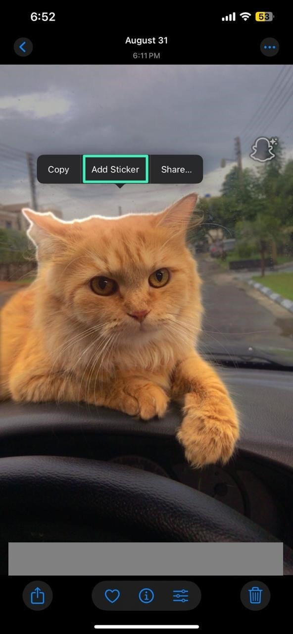 How to Turn Photos into Stickers in 2026: Expert Guides for Canva, iPhone, and Filmora