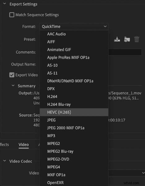 H.265 Codec in Premiere Pro: Optimize Videos & Reduce File Size
