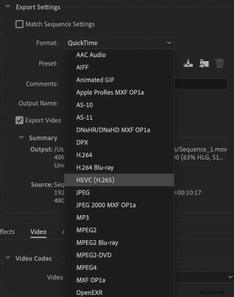 HEVC Codec in Premiere Pro: Pros, Cons & Alternatives