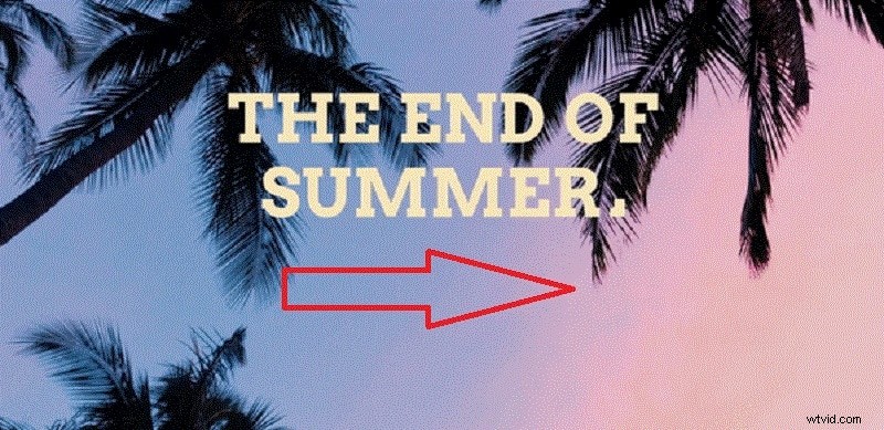 Text Animation Types & Examples: Enhance Your Videos with Dynamic Text