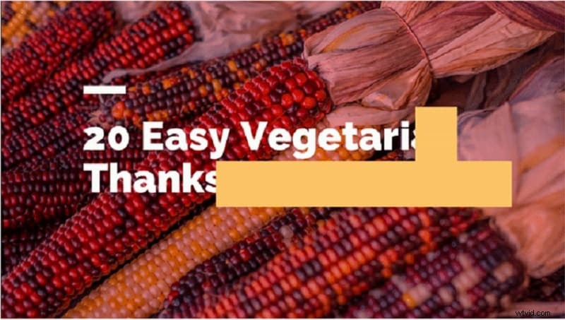 Text Animation Types & Examples: Enhance Your Videos with Dynamic Text