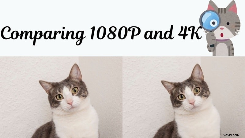 4K vs 1080p: A Comprehensive Guide to Choosing the Right Resolution