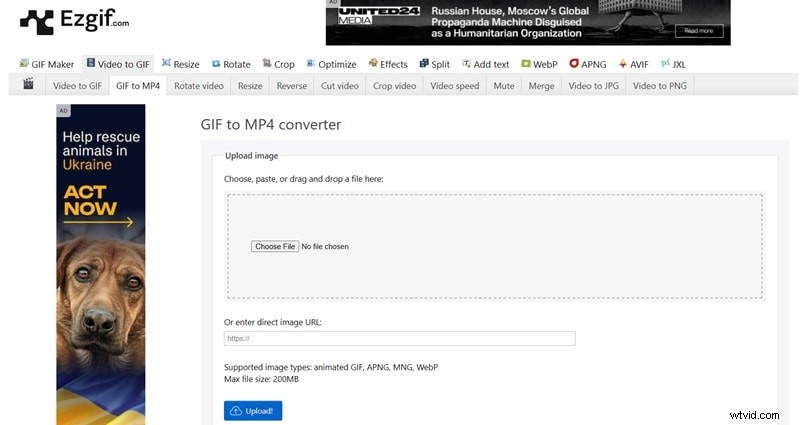 Best GIF to MP4 Converters: Convert GIFs to High-Quality Videos