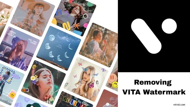 Remove VITA Watermark: A Complete Guide (2024)