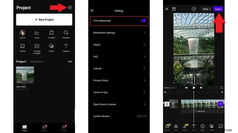Remove VITA Watermark: A Complete Guide (2024)