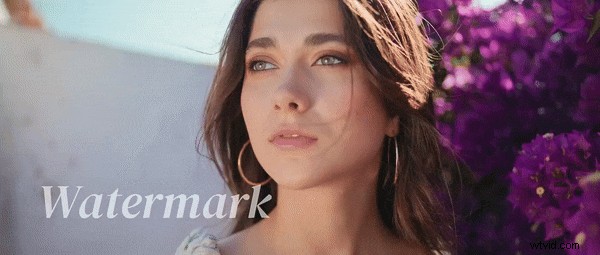 Remove VITA Watermark: A Complete Guide (2024)