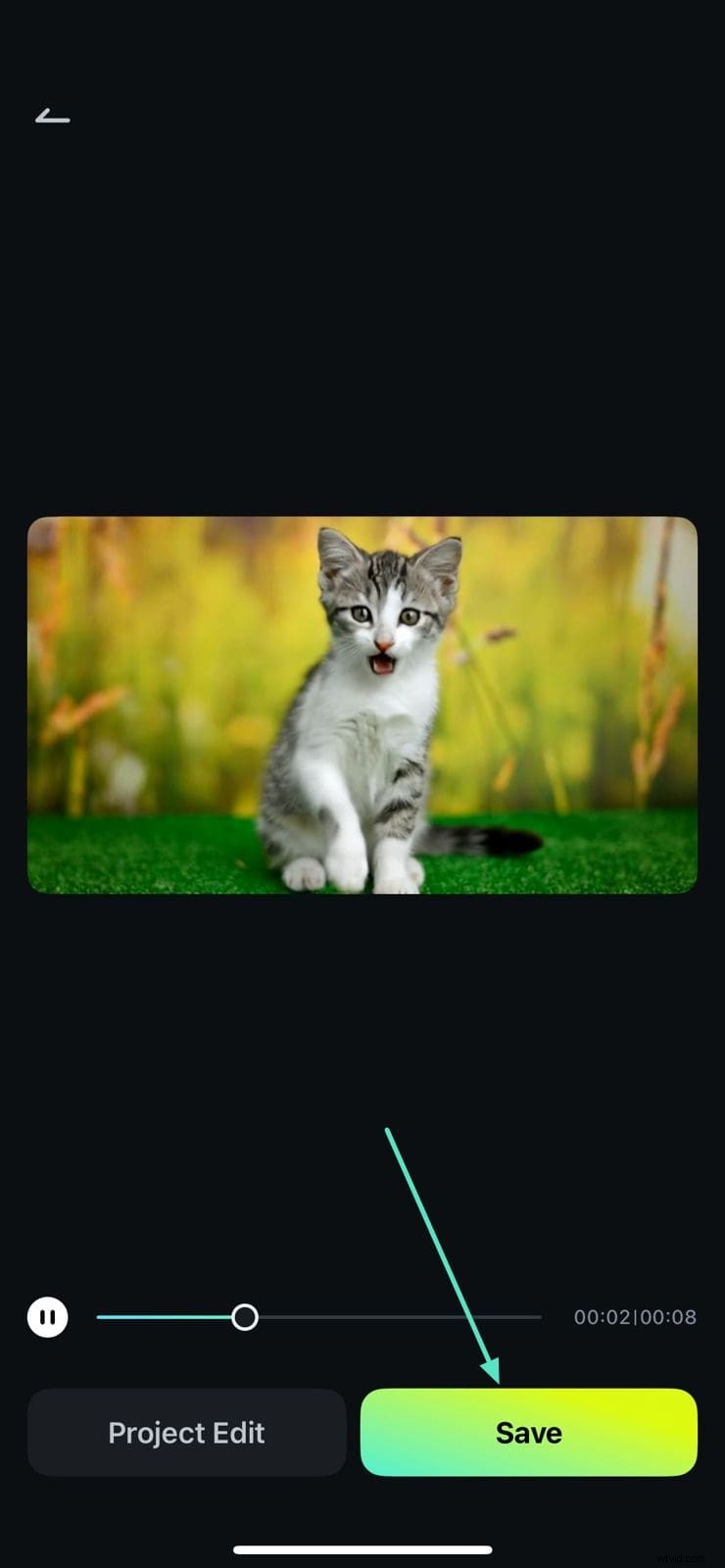 iPhone Photo Rotation: A Simple Guide to Correct Orientation