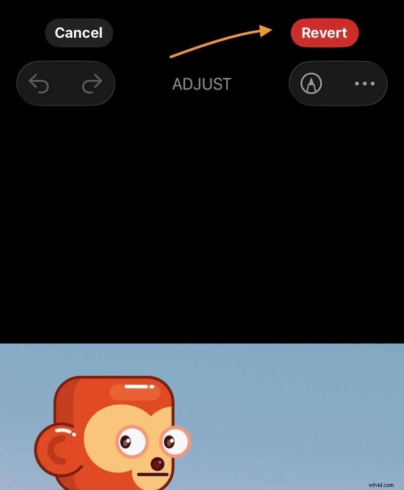 iPhone Photo Rotation: A Simple Guide to Correct Orientation
