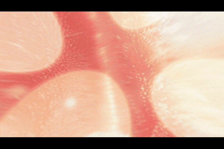 Best Free Stock Videos & Footage: Royalty-Free Sources & Usage Tips