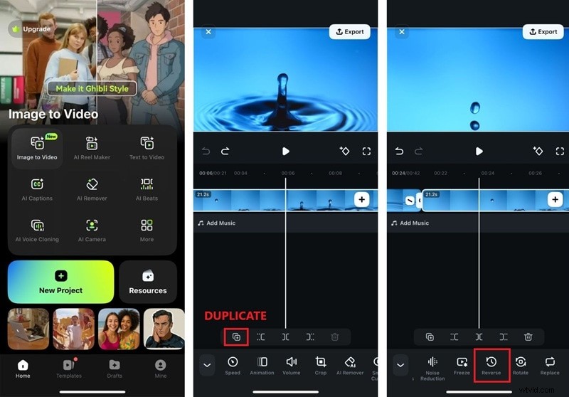 Master Video Looping: The Definitive 2026 Guide