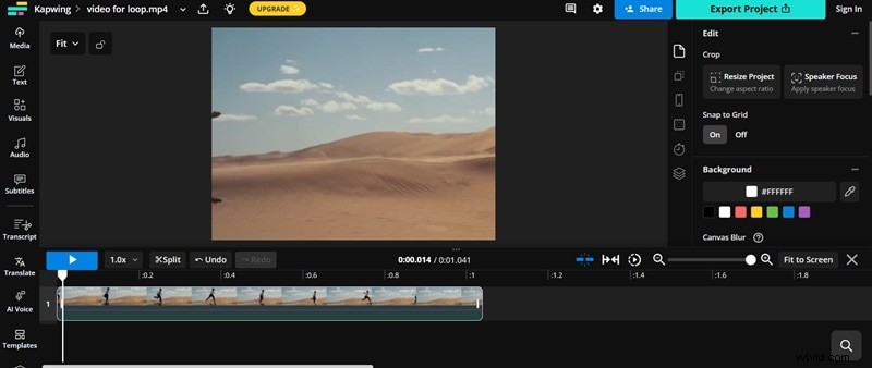 Master Video Looping: The Definitive 2026 Guide