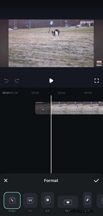 Add Professional Filters to iPhone Videos: A Step‑by‑Step Guide