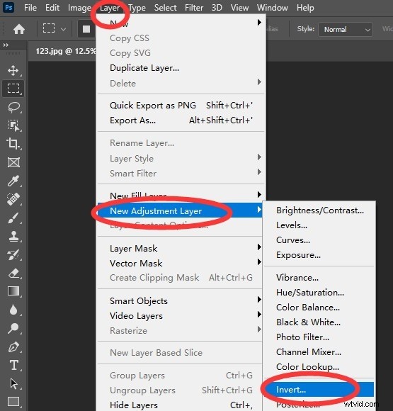 How to Invert Images: iPhone, Android, Online & Desktop - A Complete Guide