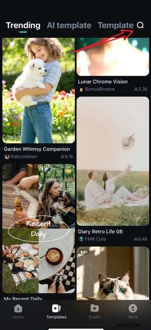 Create Stunning Video Compilations: Tools & Techniques