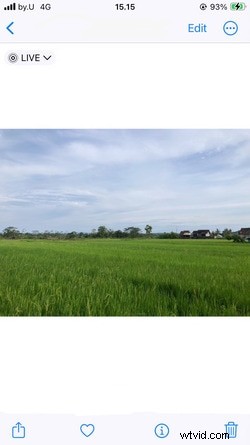 Convert Live Photos to GIFs: Advanced Methods & Tips