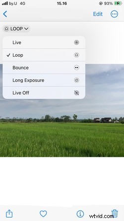 Convert Live Photos to GIFs: Advanced Methods & Tips