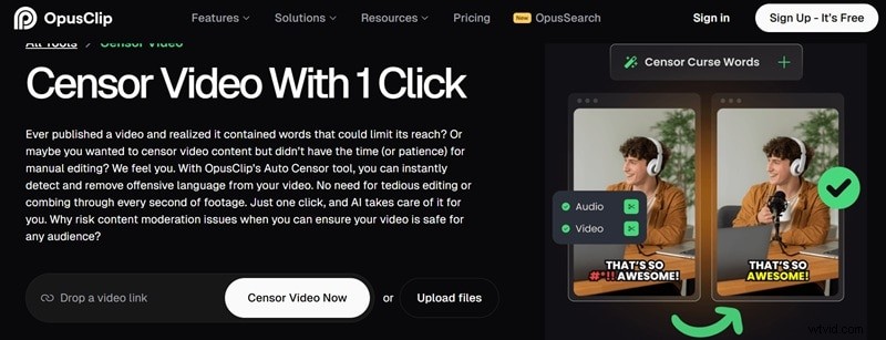 Easy Video Censorship: Tools & Techniques for Content Cleanup