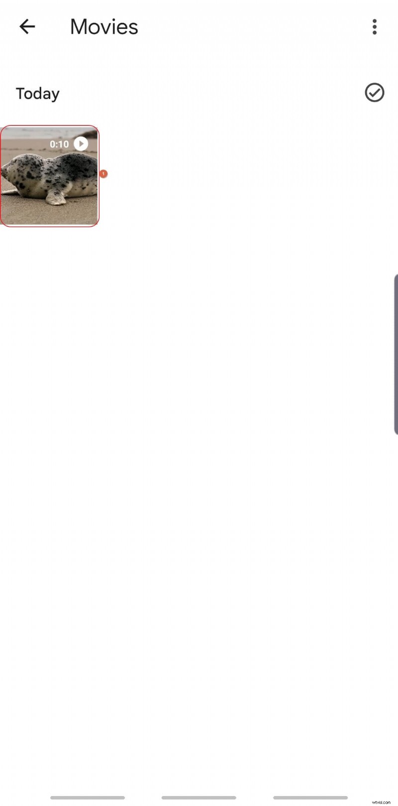 Stabilize Videos for Free: A Guide Using Google Photos