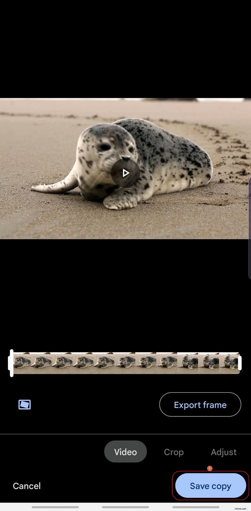 Stabilize Videos for Free: A Guide Using Google Photos