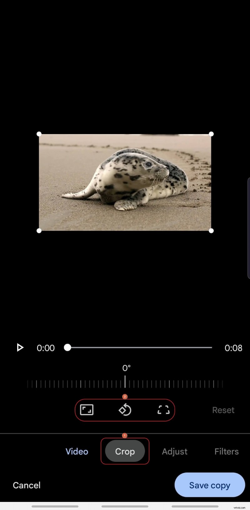 Stabilize Videos for Free: A Guide Using Google Photos
