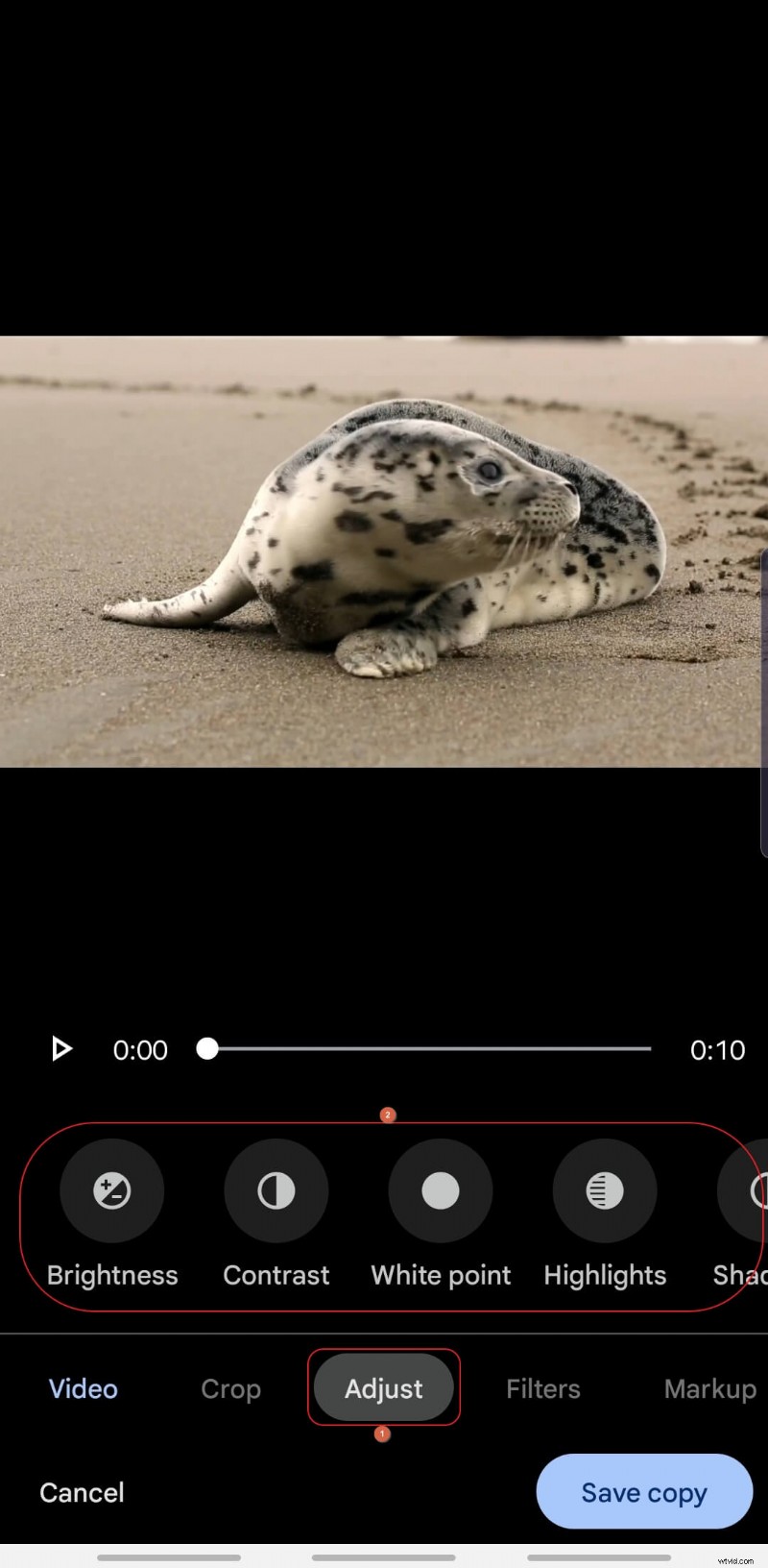 Stabilize Videos for Free: A Guide Using Google Photos