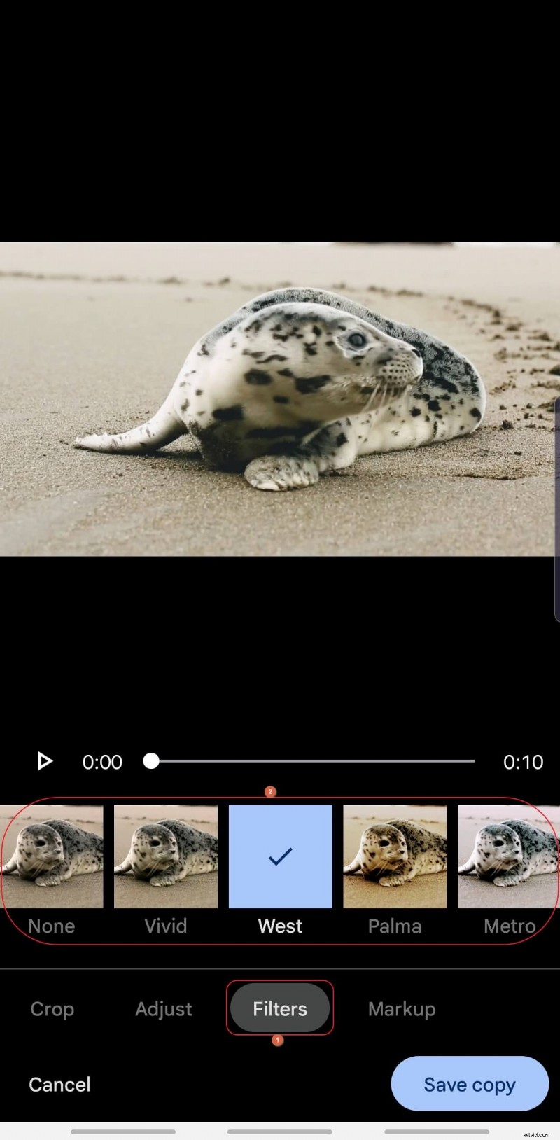 Stabilize Videos for Free: A Guide Using Google Photos