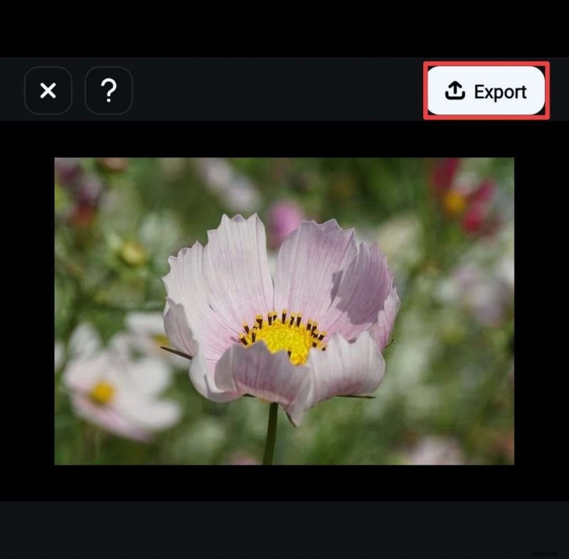 TikTok Picture-in-Picture (PiP): Enable & Watch Live on iPhone/Android