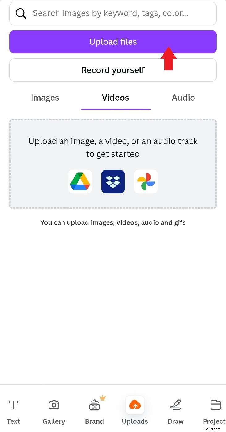 Embed Videos in Canva: A Complete Guide (2024)