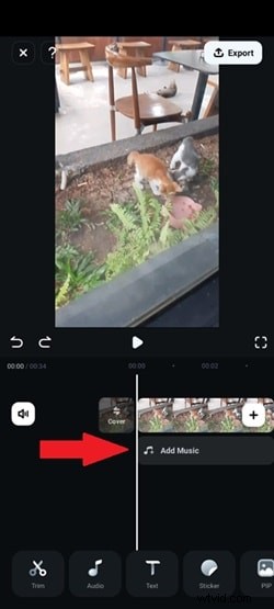 Reverse Video on Android: Easy Guide for Samsung & Pixel (2024)