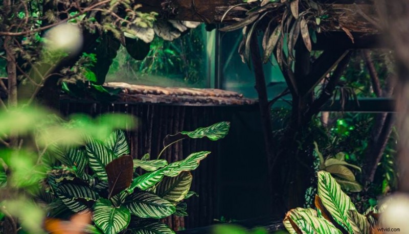 Master LumaFusion LUTs: A Comprehensive Guide for Mobile Video Editing