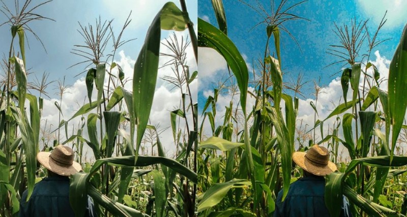 Free Lightroom LUTs: Download & Enhance Your Photos - A Complete Guide