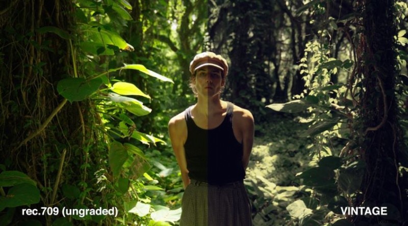 Master Danny Gevirtz LUTs: A Professional Guide to Color Grading with Filmora