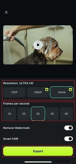 Effortlessly Merge Videos on iPhone: A Step-by-Step Guide