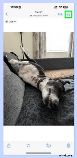 Convert Live Photos to Videos: A Simple Guide with Expert Tips