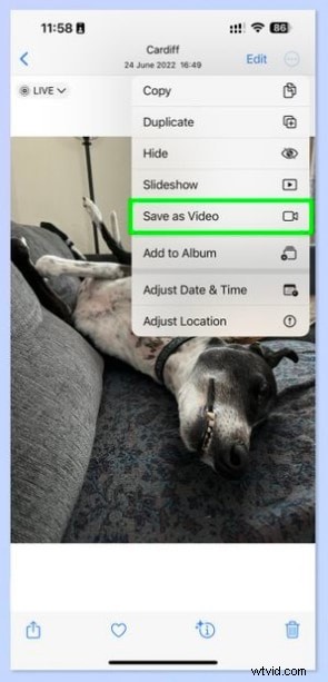 Convert Live Photos to Videos: A Simple Guide with Expert Tips