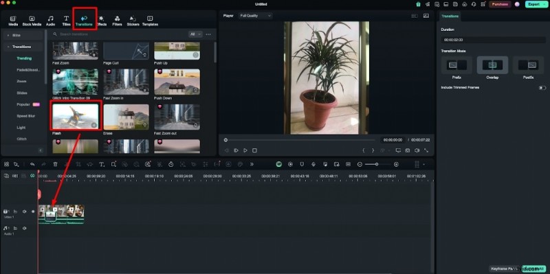 Convert Live Photos to Videos: A Simple Guide with Expert Tips