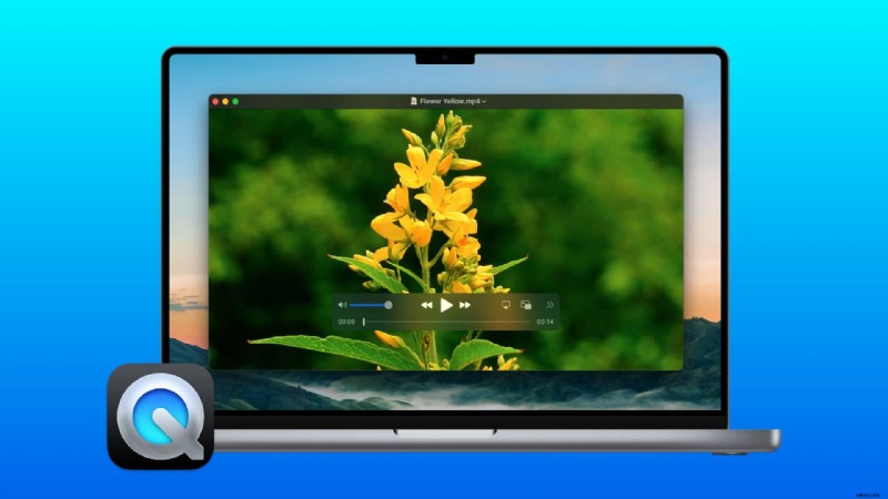 Master Video Editing on Mac: Trimming, Cutting & More - 2024 Guide