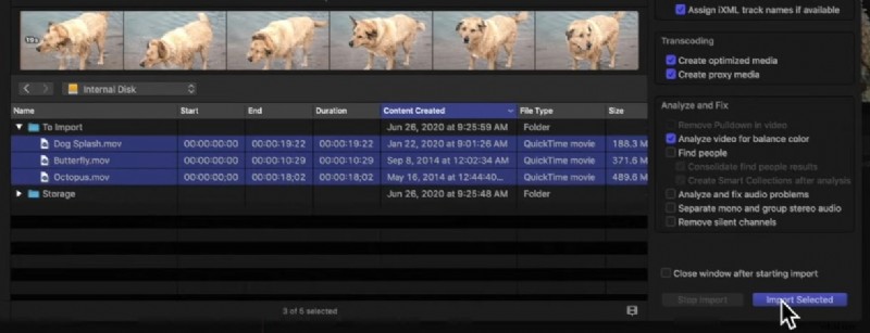 Mastering Clip Splitting in Final Cut Pro: A Step-by-Step Guide